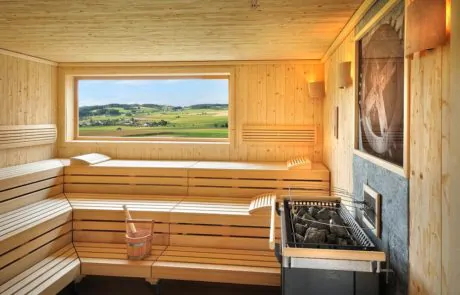 Falkensteiner Hotel & Spa Bad Leonfelden****